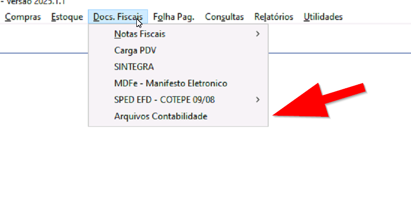 Acessando opção de arquivos contábeis